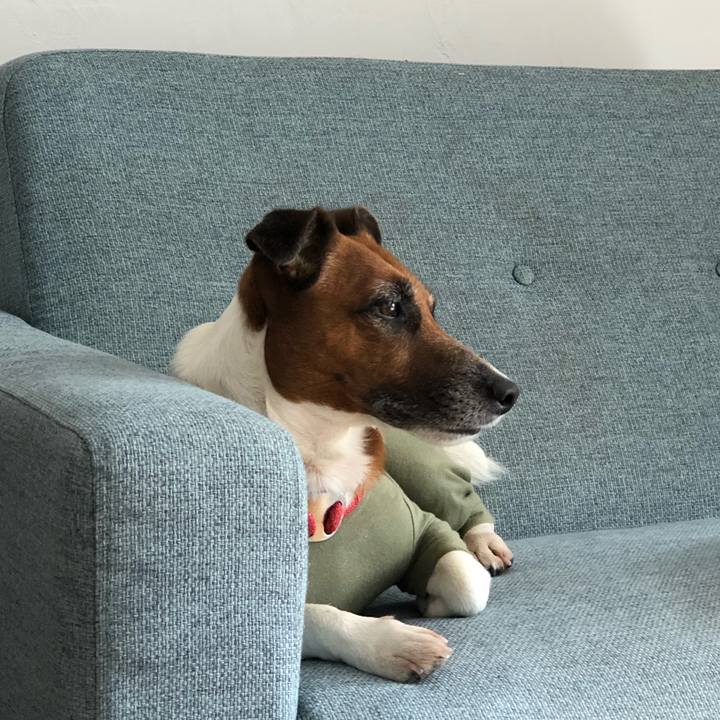 Ebfaf92b 4002 4519 b11e d0020275e773 1570748368095