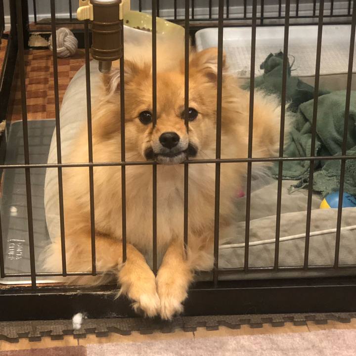 Ebfb27a6 a706 49af 919e d7c3964df7e1 1660647258190