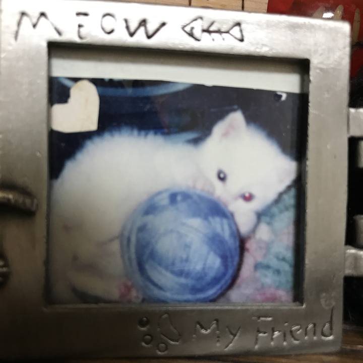 Ebfb8bd2 bad6 4266 8c95 21add67bf307 1529761126263