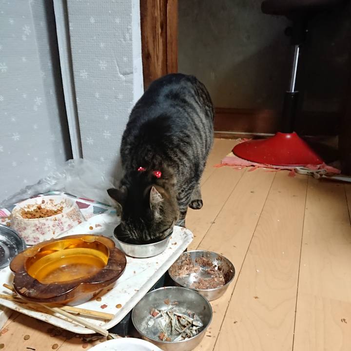 Ebfbeefb 1653 4181 9652 0ff6bbb558cb 1642020904265