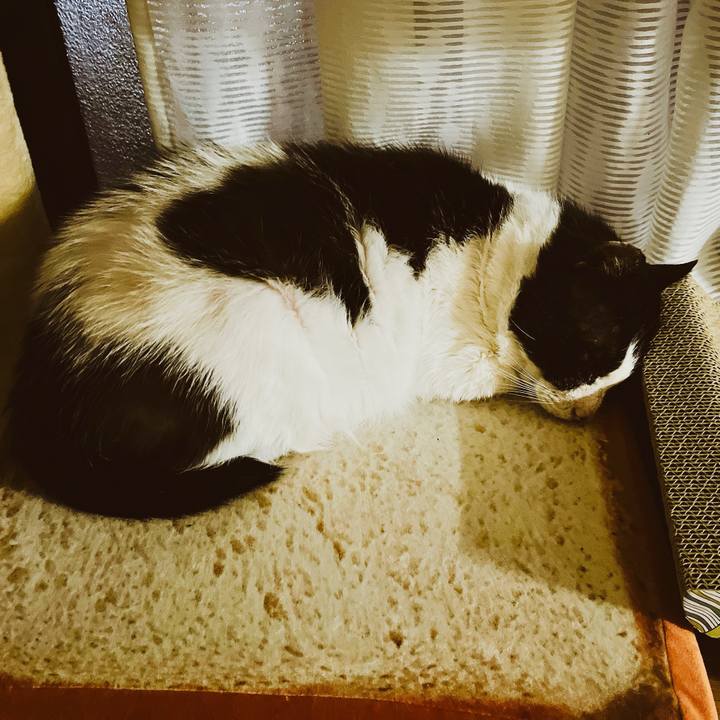 Ebfc2c45 b6de 46f8 9e78 b884c6e13a89 1643362960235