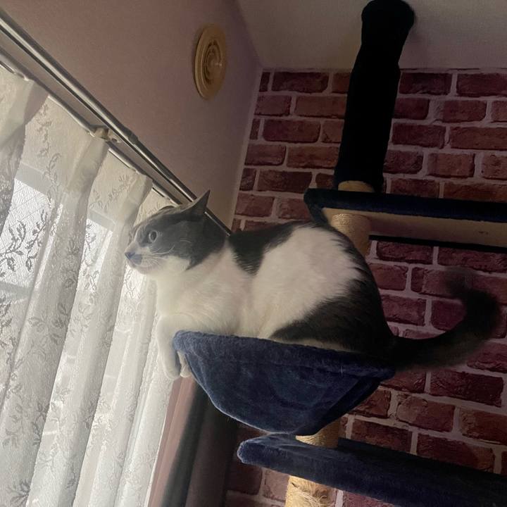 Ebfcbd03 f906 48a0 8653 ee3a51f16e09 1669158072377