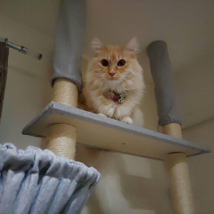 Ebfccbc7 e7ab 4015 8e75 f54e0f4b5baa 1705361044351