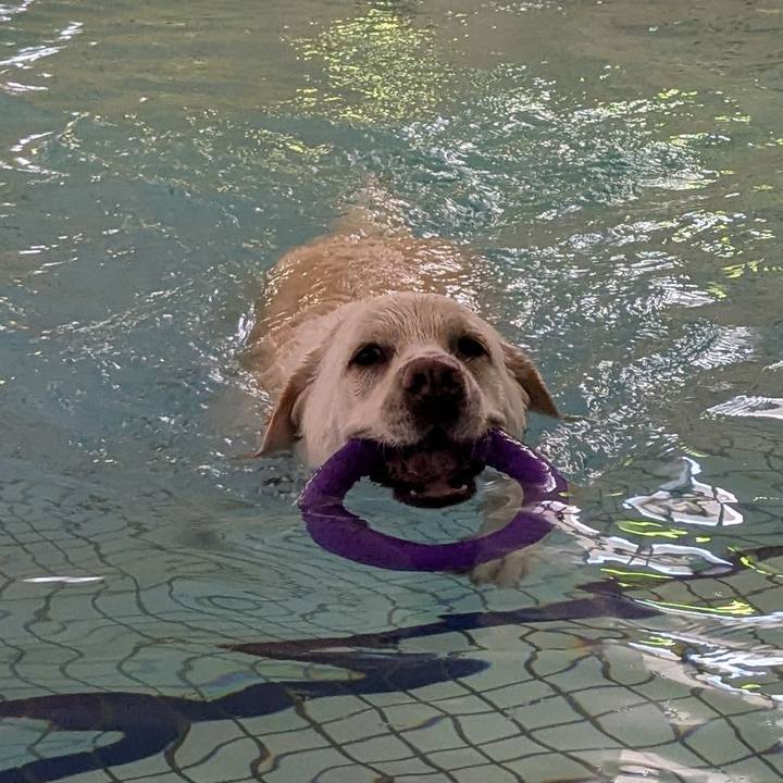 Ebfcd8c6 d65f 45d4 b1c9 53bd23dd558d 1773568367006