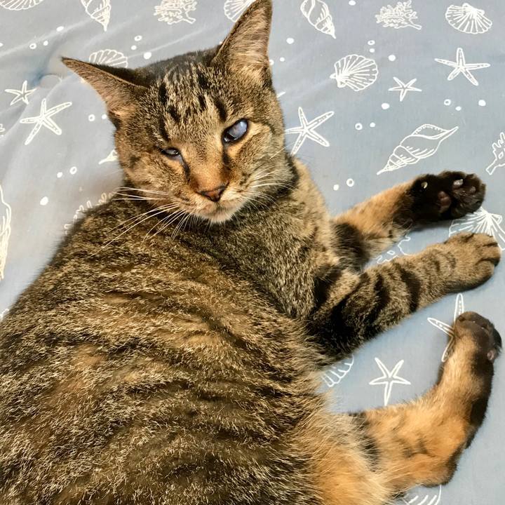 Ebfcf8c4 66fb 4994 b6be 4ee9847d8952 1564208802660