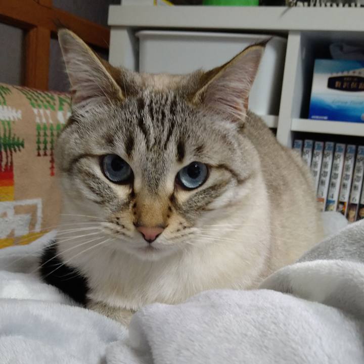 Ebfcfa59 6938 4c3b 8c8d 36f3b6fe17da 1618224217442