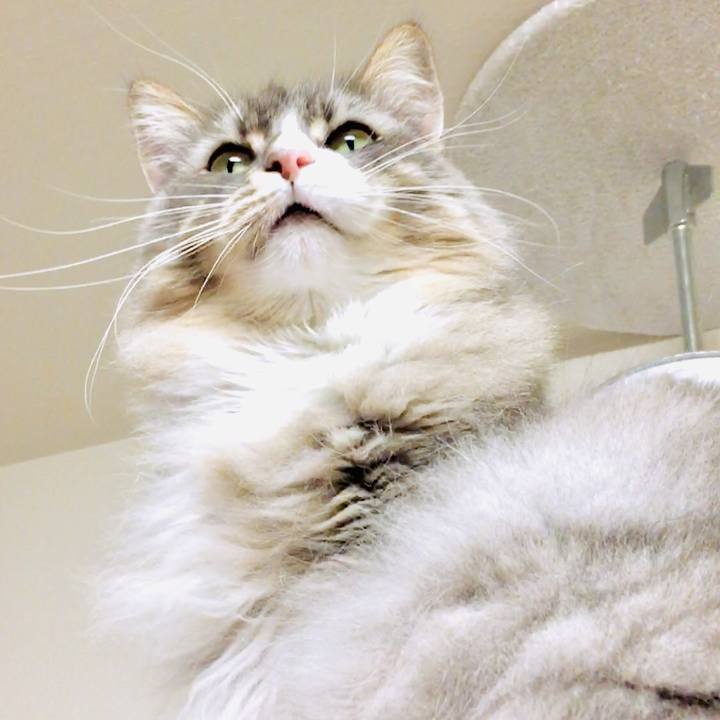 Ebfd1fd2 7f49 4446 9402 d8768ab44d0a 1553450080899