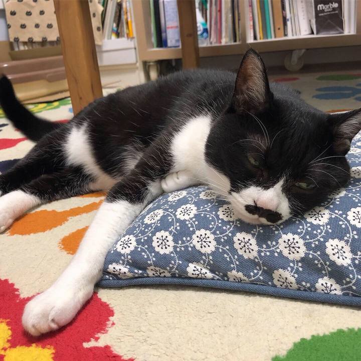 Ebfd604d 1767 4030 9613 35cbd088f44c 1563379197109