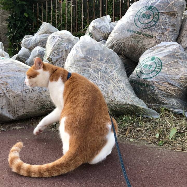 Ebfd7b8a 6c85 40c7 a8cf 6f991dbafa4f 1564824002300