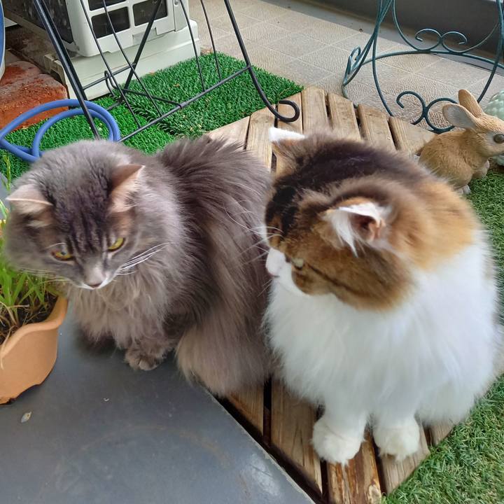 Ebfdb0d6 9c85 48ce 9bb2 2d1e87dcf08c 1611895024107