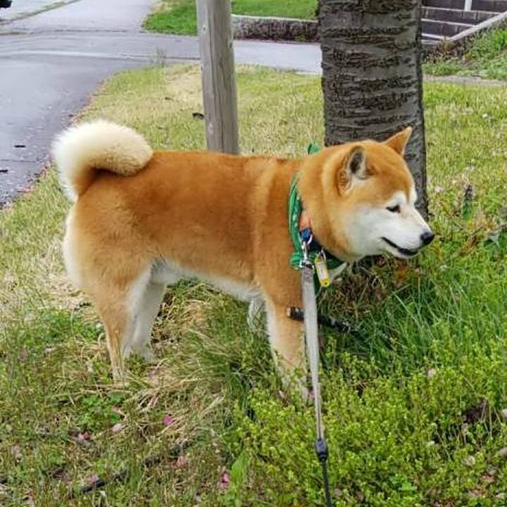 Ebfdb63c af3e 4078 993b 7b4d720c8f53 1556687851898