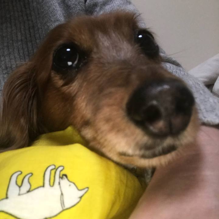 Ebfdce9c d938 48e1 b7f5 e570ef237123 1521668328832