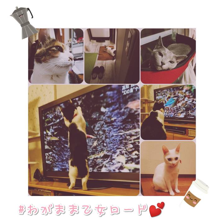 Ebfdd610 0e8c 44ed 81b3 2a009879f967 1568710402392