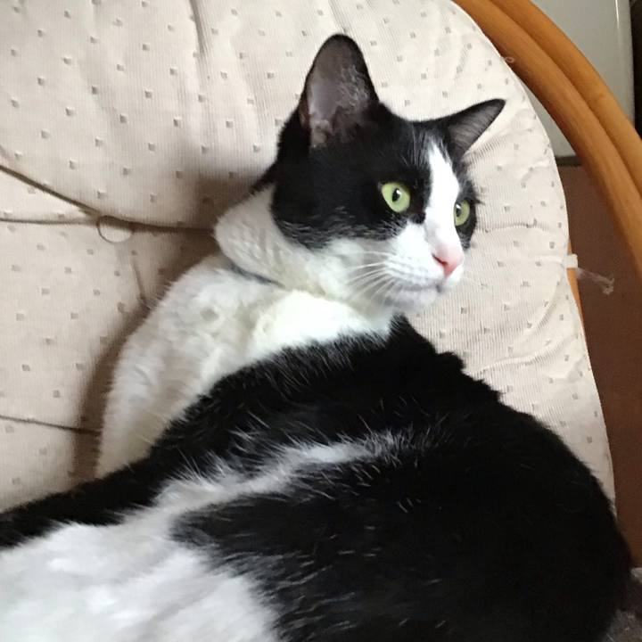 Ebfdeb83 e185 4ab5 92b9 68b86cd0f483 1721210020121