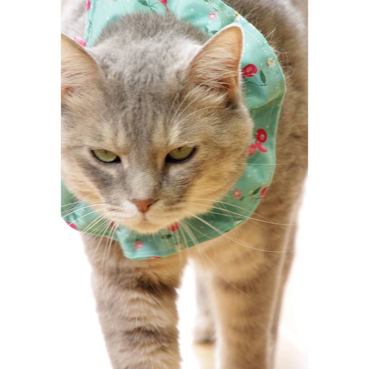 Ebfe04df e35a 419a b6e9 3e765fec3ab9 1660102577519