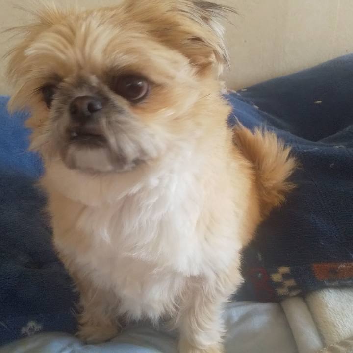 Ebfe0a11 f1aa 4636 8142 007f64e80360 1735088278838