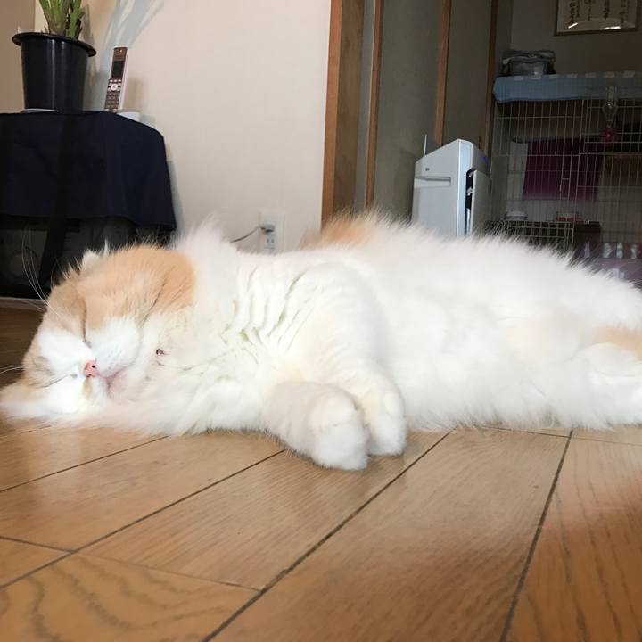 Ebfe0ac3 eb2a 4e5d a36a 74b4be9631b5 1509251016324