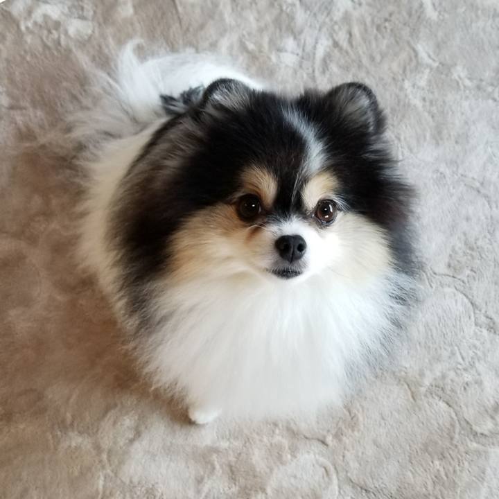 Ebfe15ed 74ff 457e 9b4b 4536f842005e 1602544337566