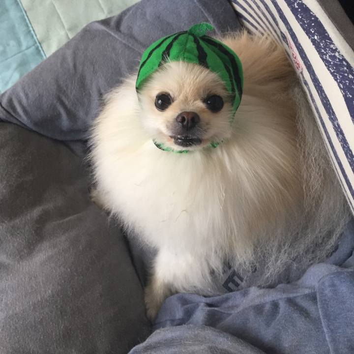 Ebfe4760 02ec 4c31 8190 d8930ed18284 1531361731865