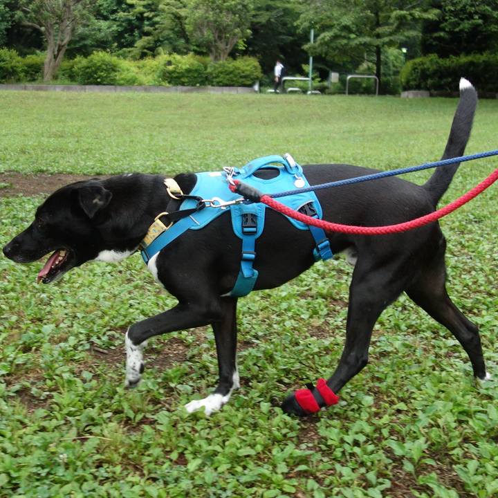 Ebfe8b4e 3cf1 4c84 859b d95bb7dc60df 1623887439186