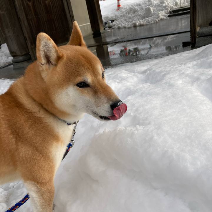 Ebfe8e4d 417b 4e59 84b3 ace60affe604 1674893052845