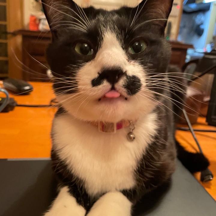 Ebfec072 86d2 4358 89f4 d4b2d6feafa5 1678275957070