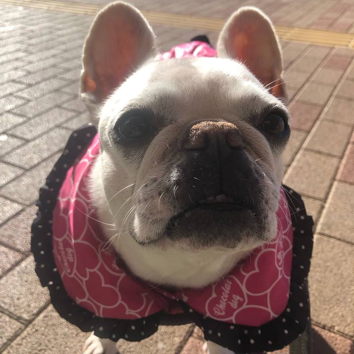 Ebfef0a1 a99c 4324 b0b1 36282352c34c 1671859542901