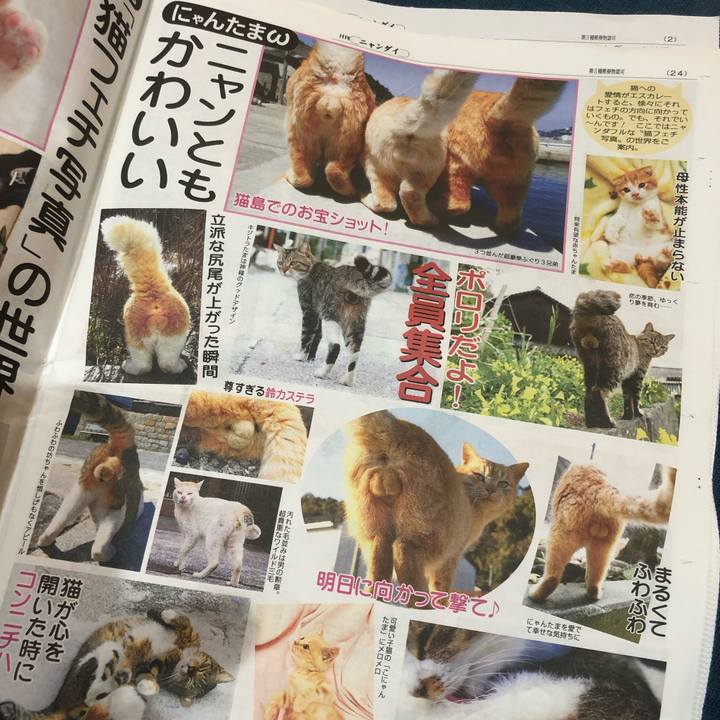 Ebff05a8 8e78 4c4e 8f57 284719c10b59 1615022102873