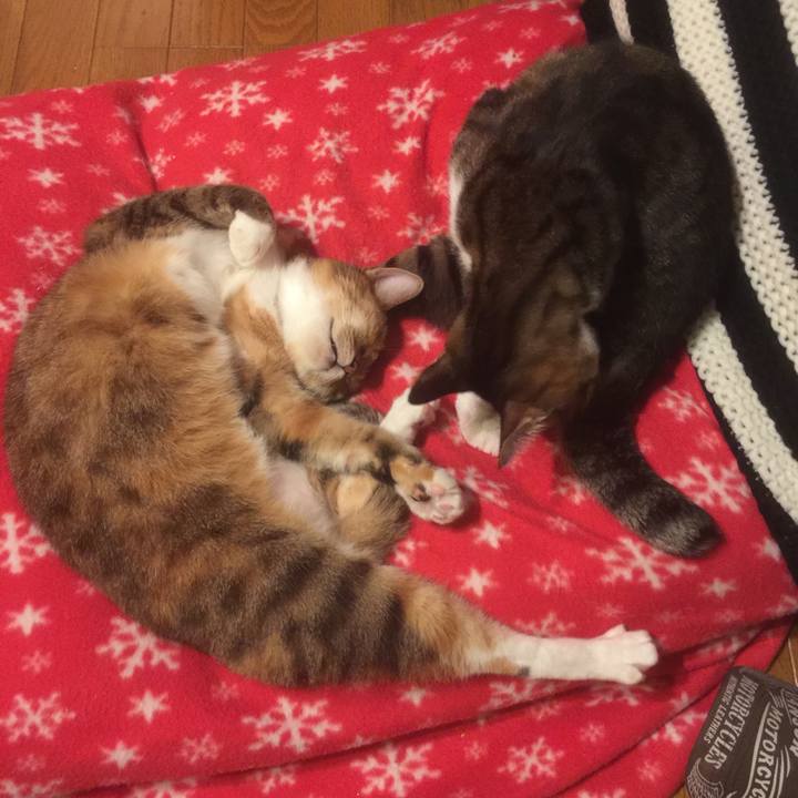 Ebff73ae cb22 4b84 ad74 3d261f096170 1574631512076