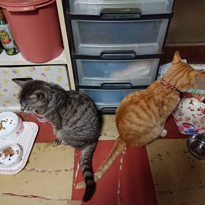 Ebff76c6 256b 41a6 ba00 33e2321bcaf5 1561752493204