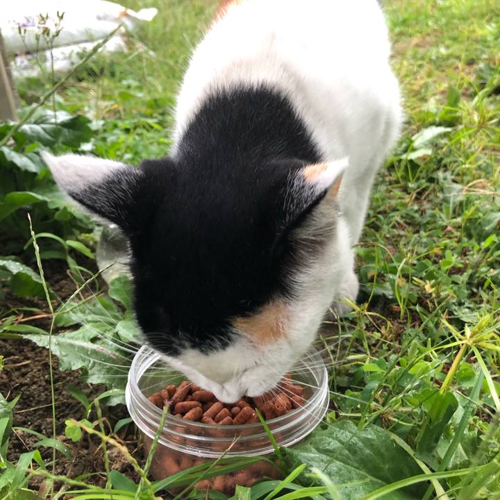 Ebffa134 4635 4cbc 9363 bf18d027d943 1598998828582