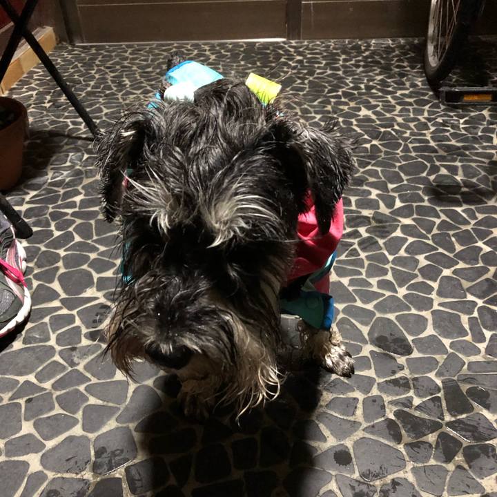 Ebfff4ab ff9c 48db aaac 99608edf71c5 1585320323817