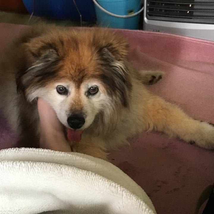 Ec003138 190e 4cc0 8511 f616d2301337 1557994353418