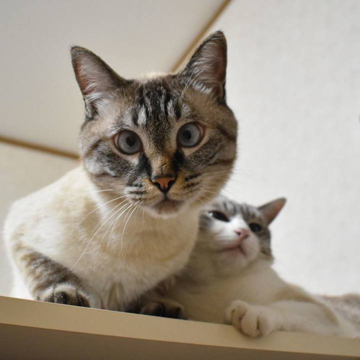 Ec0039ba ea75 4a29 8a2e 05b4661c990e 1532952295373