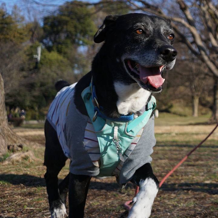 Ec003e11 149a 4c96 b01c 6bd36d098a57 1773190938888