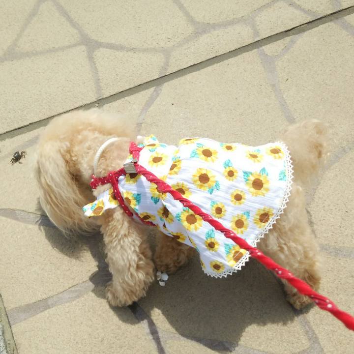 Ec0047f8 fb62 4dfd b274 45d00c31821e 1558872870345