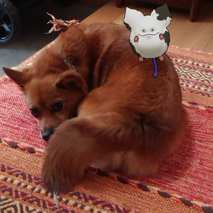 Ec005ed2 0ce8 4d33 95d4 cf970b640e58 1568339236574