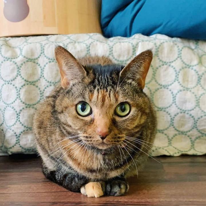 Ec006135 2bc7 49ff b627 fb56279046f9 1670233372357