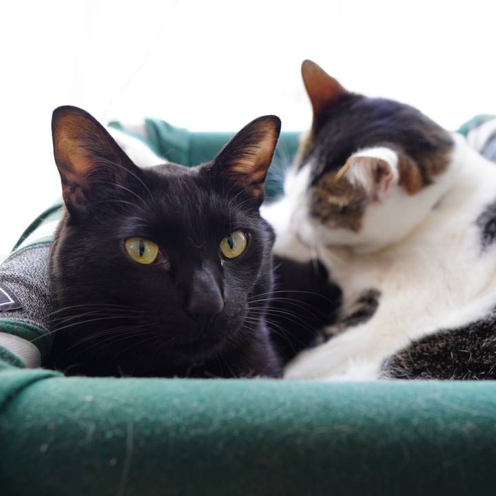 Ec00757d f749 4811 b352 eadbf0733558 1582549440192