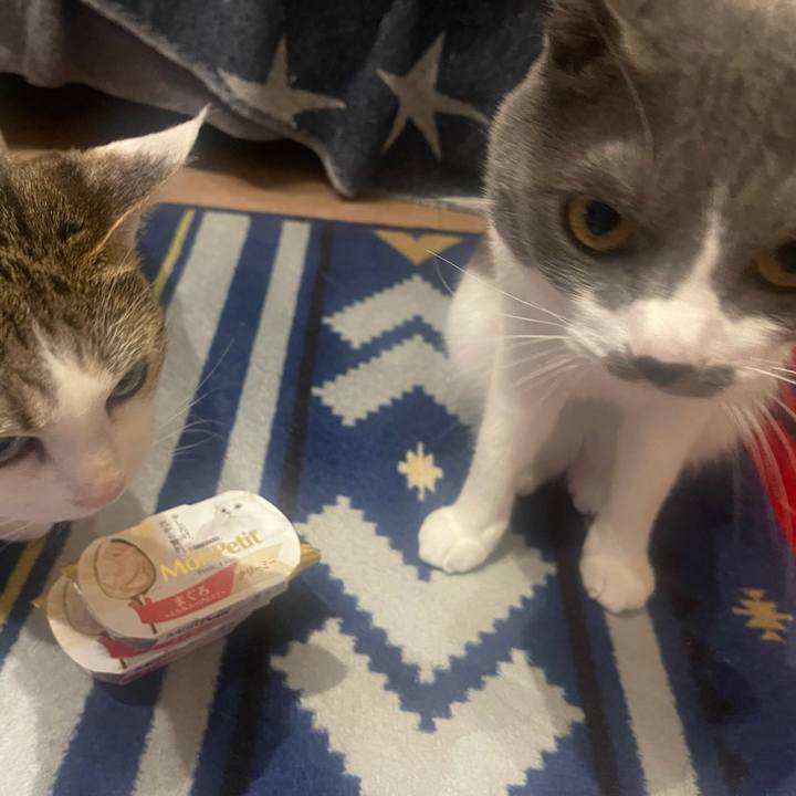 Ec008315 efbf 4a9b 9984 297a772d8ef7 1632308329597