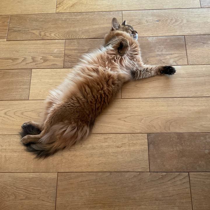 Ec00a0c0 a75a 43bf bcbe e7c269331169 1720076311254