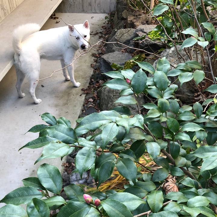 Ec00d348 6966 4916 9c83 364520fdaf87 1579602607187