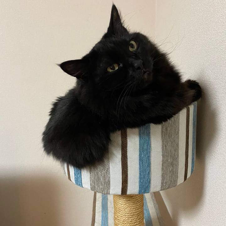 Ec00e817 1703 4f3c ac0f f2a507cf96e7 1613965868008