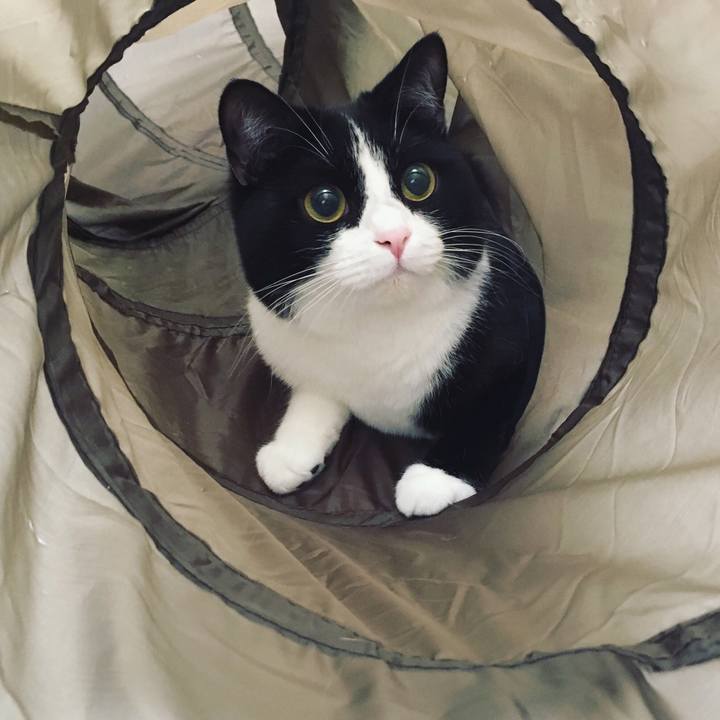 Ec00eed3 2ef2 4573 a1c1 1b867b7f04f0 1559998265399