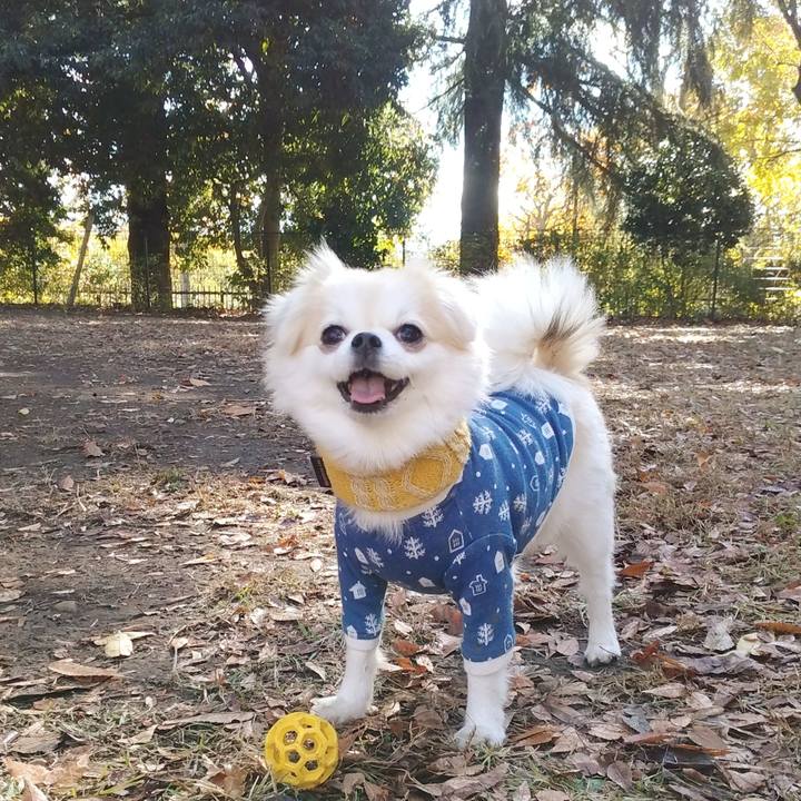 Ec011752 c89a 4046 a01c ad1f5d9fb6a1 1700724235444