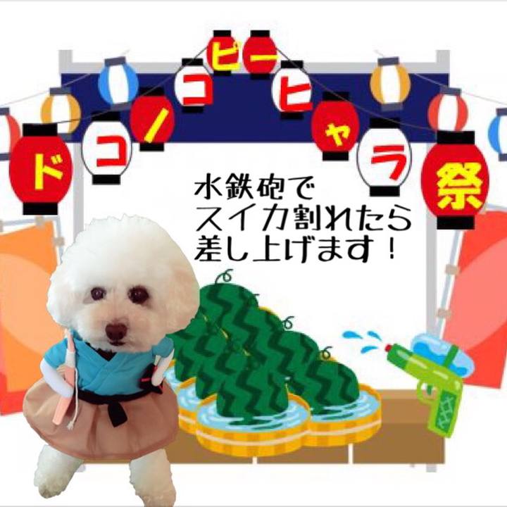 Ec013a86 779a 49d5 845c 07006740771c 1565927140798