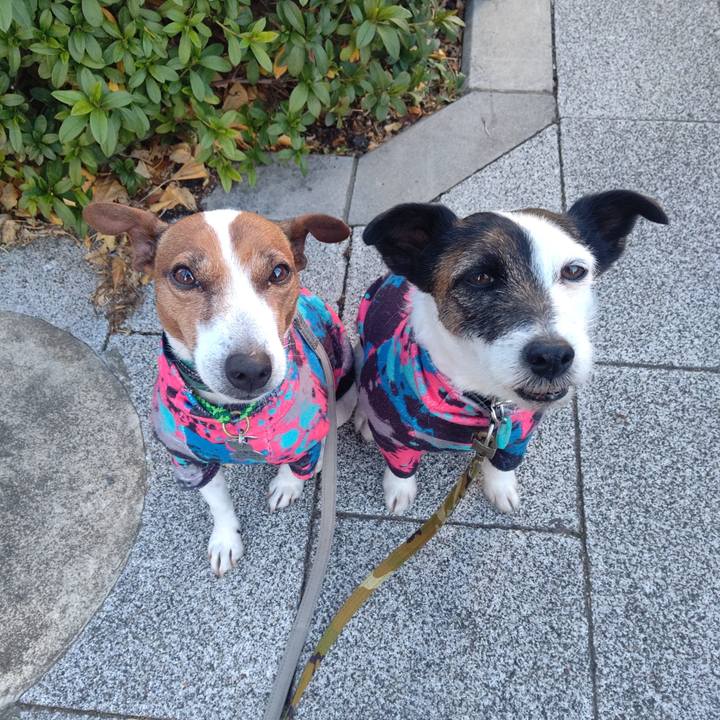 Ec014722 4e64 48e2 b9ae a44c41455707 1706136560589