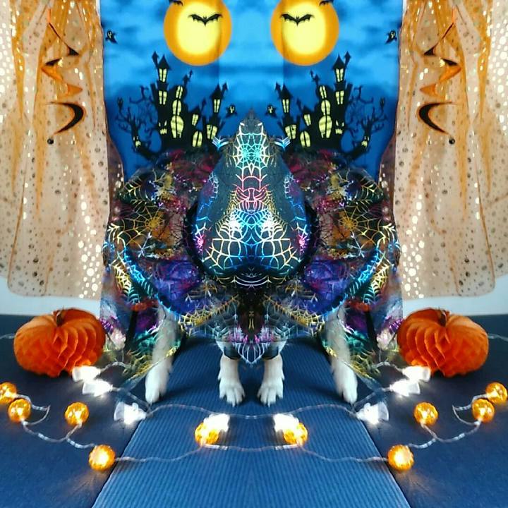 Ec01486f 9e67 4d14 a524 d74865b92c6b 1540981929707