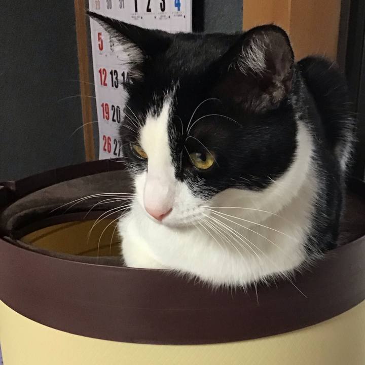 Ec0159f0 11cb 4f88 a368 4e253ded547c 1655283124824