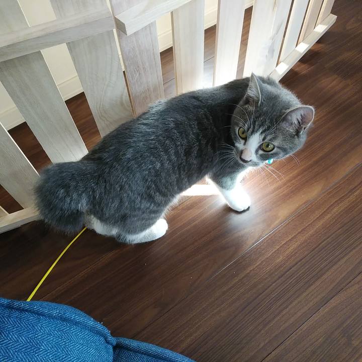 Ec017871 55d1 46cf 8b8e 60bf1c3fad8a 1571796002200